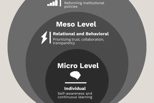 Infographic of three levels of leadership
